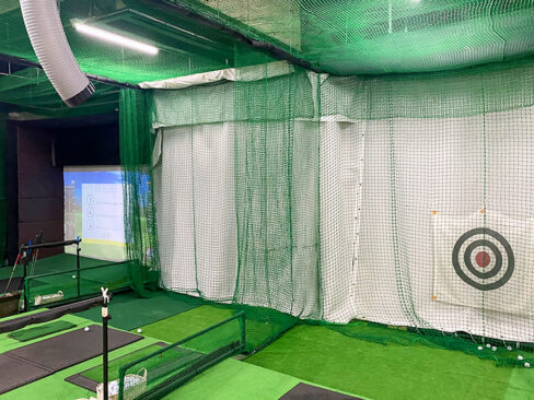 EAGLE3 INDOOR GOLF 