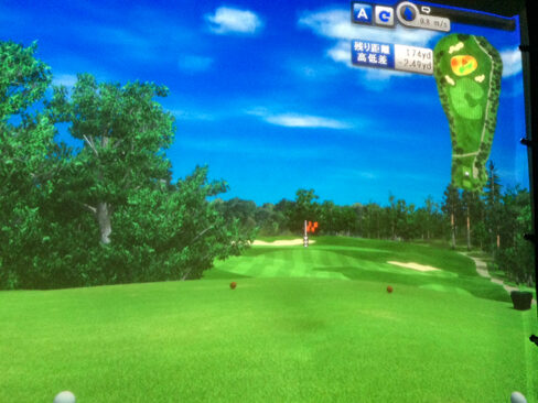 EAGLE3 INDOOR GOLF 